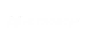 Netokracija