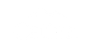Cetina