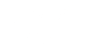 Nvision Ventures